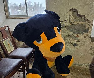 Sale Gallery Photo Thumbnail