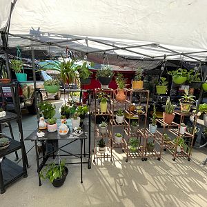 Yard sale photo in North Hollywood, CA