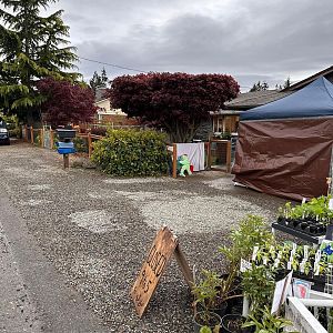Yard sale photo in Tacoma, WA