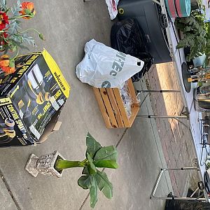 Yard sale photo in Merced, CA