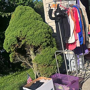 Yard sale photo in Mansfield, OH
