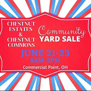 Yard sale photo in Commercial Point, OH