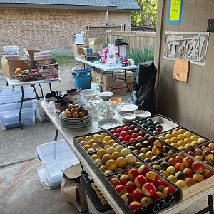 Yard sale photo in Rowlett, TX
